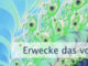 Erwecke das volle Bewusstsein