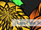 Lasse die Schwachen sagen