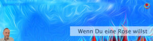 Wenn Du eine Rose willst