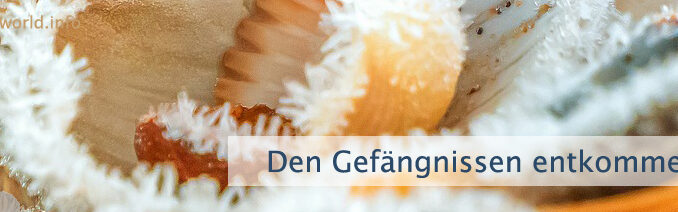 Den Gefängnissen entkommen