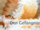 Den Gefängnissen entkommen