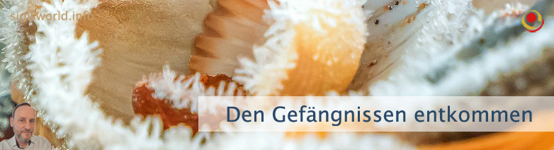 Den Gefängnissen entkommen Den Gefängnissen entkommen