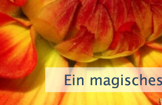 Ein magisches Leben führen