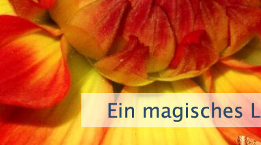 Ein magisches Leben führen