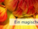 Ein magisches Leben führen