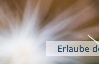 Erlaube dem Universum