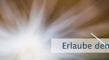 Erlaube dem Universum