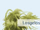 Losgelöstheit entdecken