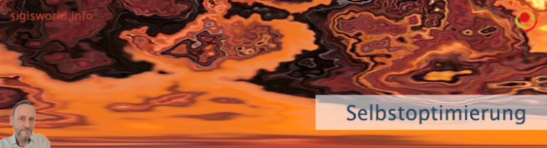 Selbstoptimierung
