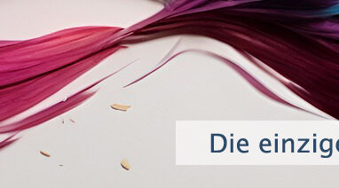 Die einzige Bedingung