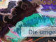 Die umgekehrte Richtung