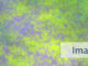 Imaginatives Leben