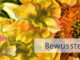 Bewusstes Manifestieren