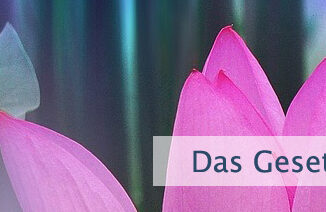 Das Gesetz funktioniert