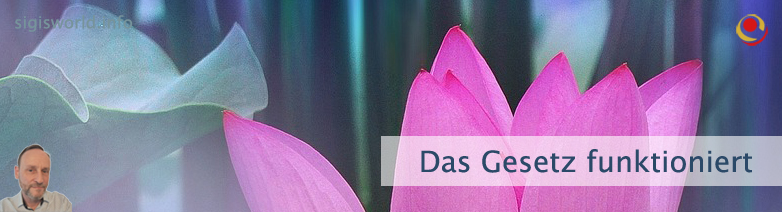 Das Gesetz funktioniert