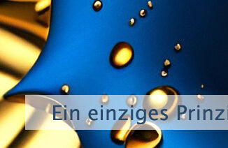 Ein einziges Prinzip ist am Werk