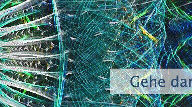 Gehe darüber hinaus