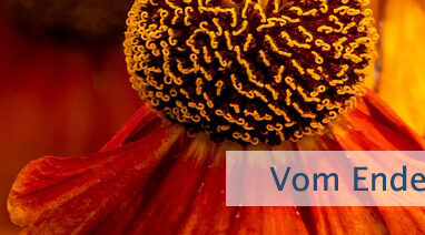 Vom Ende her denken