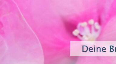 Deine Buddha-Natur