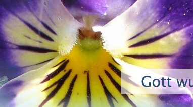 Gott wurde Mensch