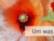 Um was Du auch bittest