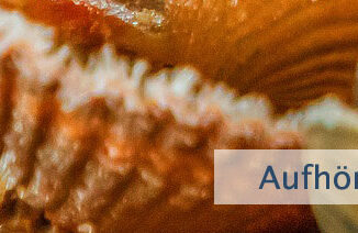 Aufhören, zu warten