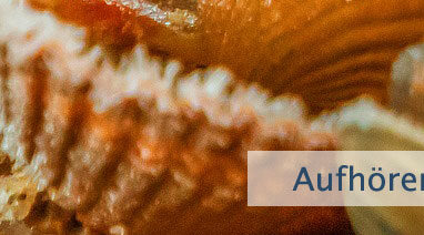 Aufhören, zu warten