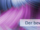 Der bewusste Verstand
