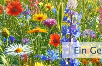 Ein Geschenk Gottes