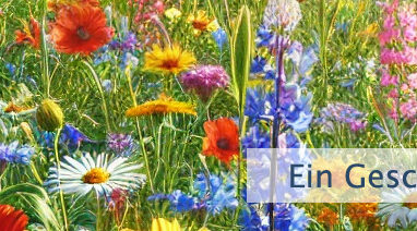 Ein Geschenk Gottes
