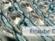 Erlaube Dir, zu erkennen