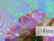 Erinnere Dich daran