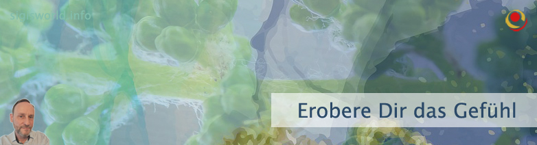 Erobere Dir das Gefühl Erobere Dir das Gefühl