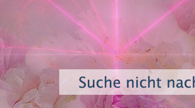 Suche nicht nach Emotionen