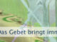 Das Gebet bringt immer eine Lösung