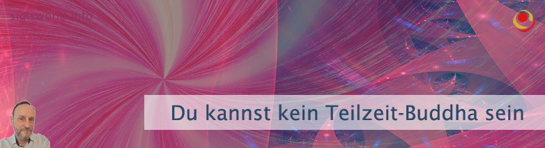 Du kannst kein Teilzeit-Buddha sein Du kannst kein Teilzeit-Buddha sein