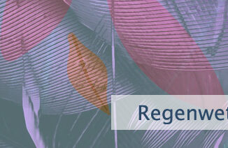 Regenwetter als Beweis