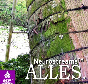 Neurostreams ALLES