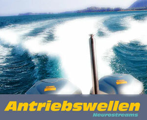 Antriebswellen