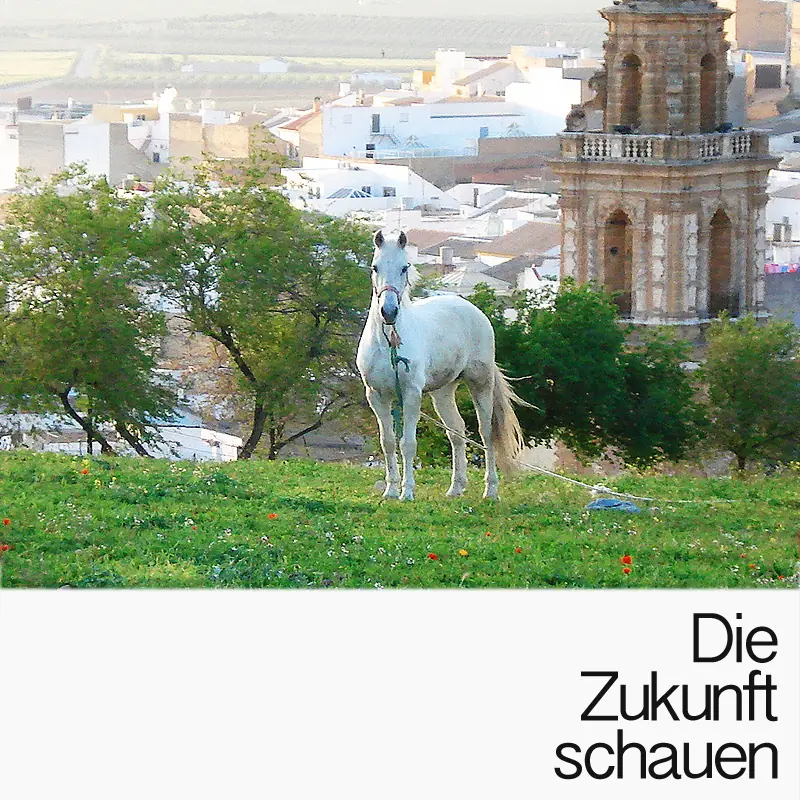 Die Zukunft schauen Die Zukunft schauen
