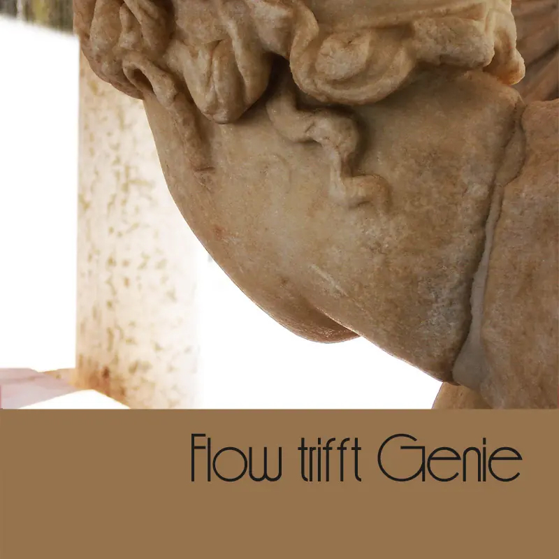 Flow trifft Genie