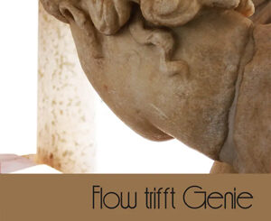 Flow trifft Genie
