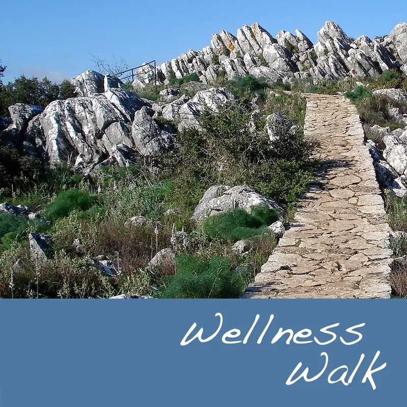 Wellness Walk Wellness Walk