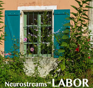Neurostreams™ LABOR