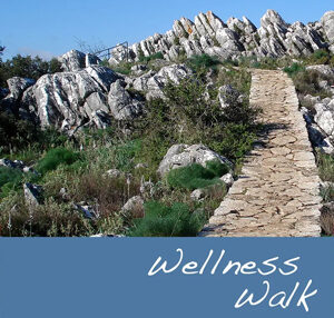 Wellness Walk