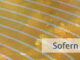 Sofern Du präsent bist
