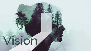 Vision