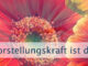 Vorstellungskraft ist das Leben selbst