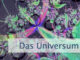 Das Universum ist Dein Freund