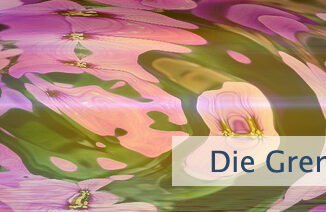 Die Grenzen der Sinne